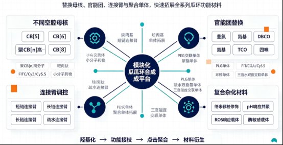 一站式瓜环基超分子聚合物定制合成方案 —— Sur-Release生物技术服务 [7]为例）