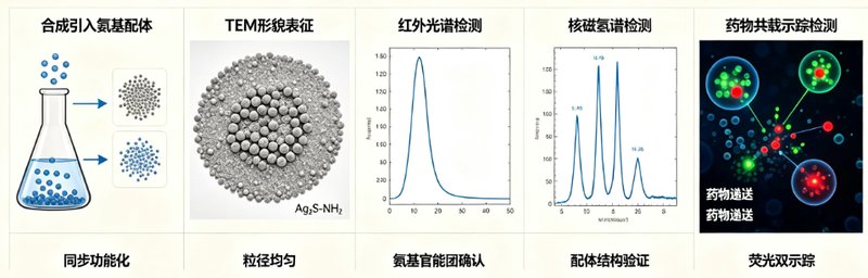 NIR-II Ag₂S量子点精准定制｜突破深层活体荧光成像限制