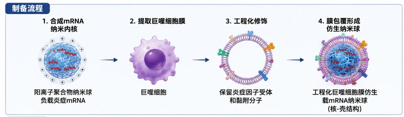 mRNA/siRNA核酸递送微球定制合成，打造稳定、高效、可控释放载体平台