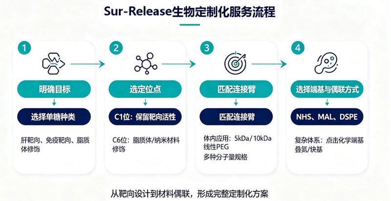 PEG修饰单糖如何定制设计？解析位点选择与连接臂匹配原则
