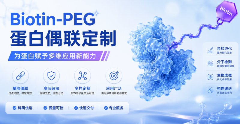 Biotin-PEG蛋白偶联定制｜为蛋白赋予多维应用新能力