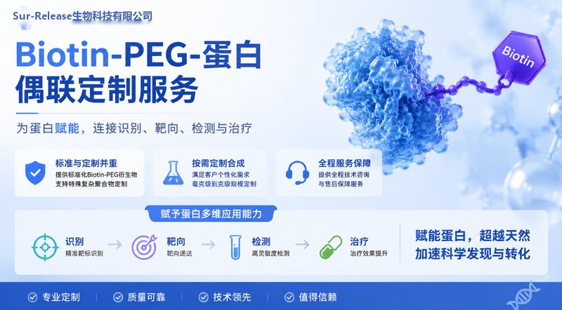 Biotin-PEG蛋白偶联定制｜为蛋白赋予多维应用新能力