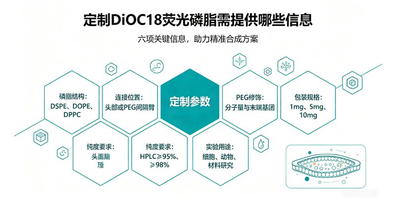 专业DiOC18荧光标记磷脂定制合成｜细胞成像与脂质体标记应用