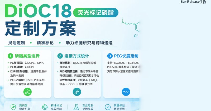 专业DiOC18荧光标记磷脂定制合成｜细胞成像与脂质体标记应用
