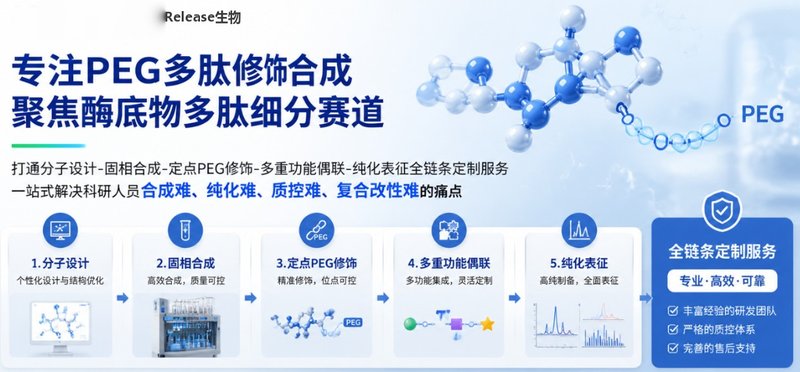 PEG修饰酶底物多肽定制服务｜生物检测与响应型智能材料解决方案