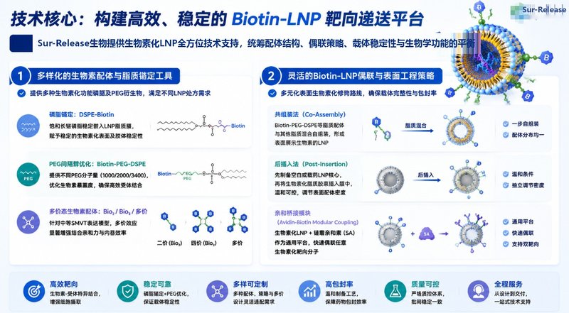生物素化LNP纳米递送系统定制开发平台