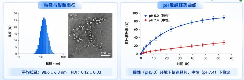 阳离子磷脂分子精准定制：结构调控与功能化应用开发