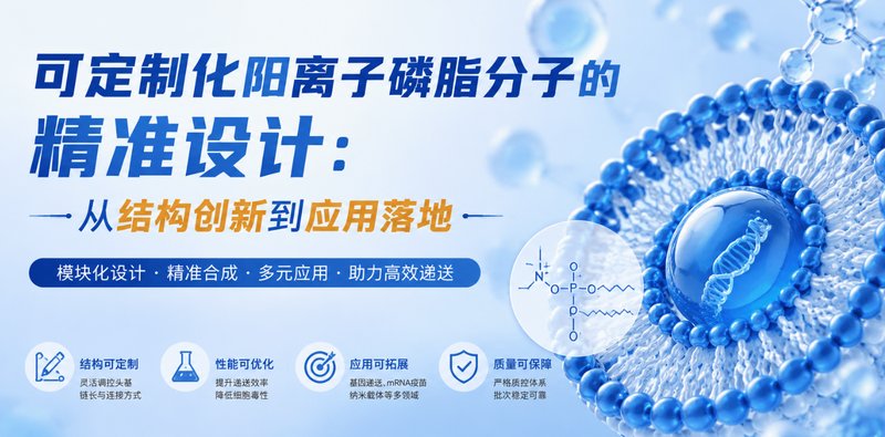 阳离子磷脂分子精准定制：结构调控与功能化应用开发