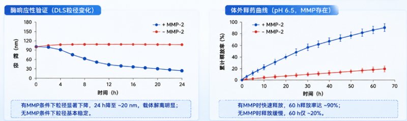 阳离子磷脂分子精准定制：结构调控与功能化应用开发