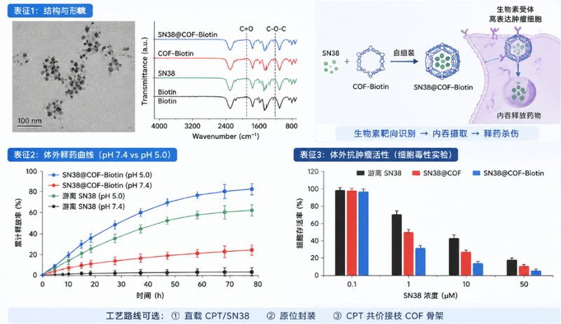 DOX/PTX/CPT类药物COF载体定制开发｜构建智能化纳米递送平台