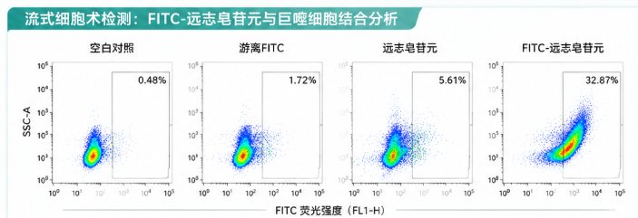 天然产物的荧光标记定制专家｜Sur-Release生物技术服务