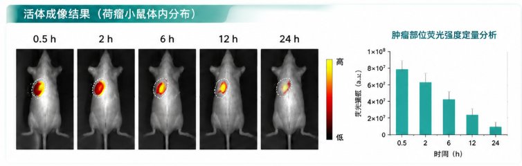 天然产物的荧光标记定制专家｜Sur-Release生物技术服务
