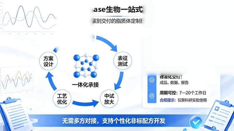 药物-荧光-磁性复合脂质体定制|成像·递药·磁响应一体化设计