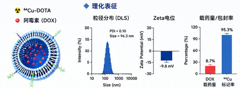 PET脂质体定制开发服务|Sur-Release生物技术服务