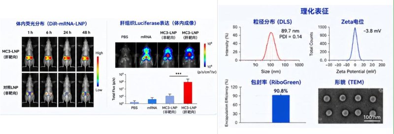 核酸LNP定制开发|助力mRNA、siRNA等高效递送