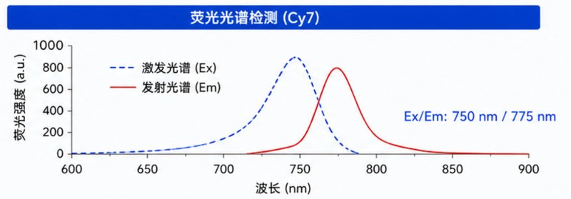 带间隔臂Ahx荧光多肽定制合成｜高活性标记服务