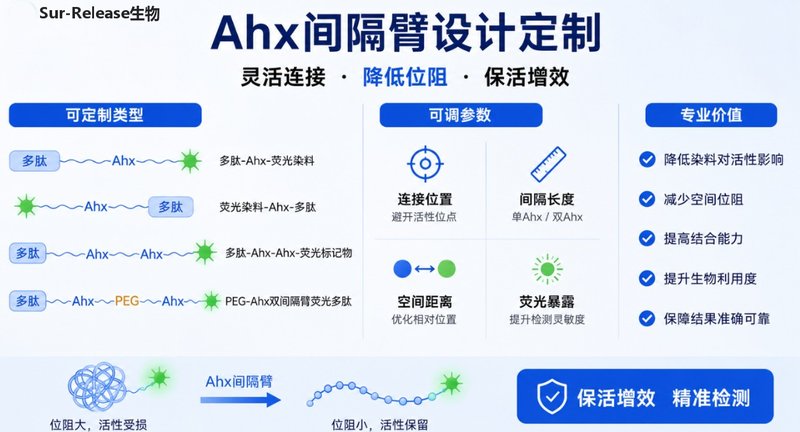 带间隔臂Ahx荧光多肽定制合成｜高活性标记服务