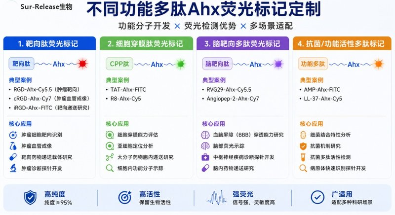 带间隔臂Ahx荧光多肽定制合成｜高活性标记服务