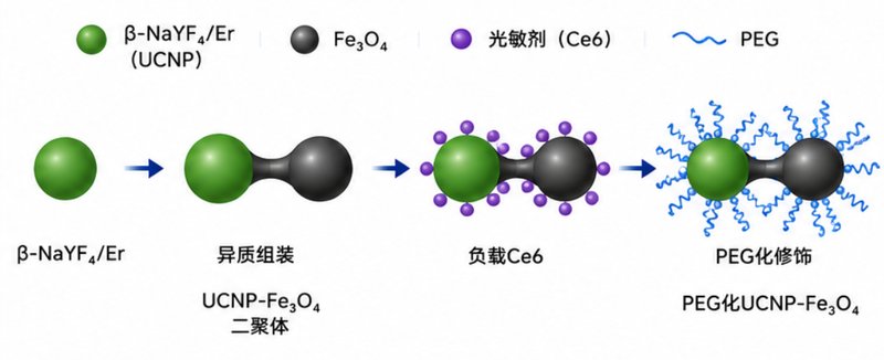 UCNP@Fe₃O₄复合纳米颗粒定制|磁共振与荧光双模探针开发