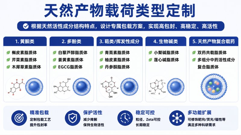 天然活性物载药脂质体定制开发|支持包封优化与靶向递送研究