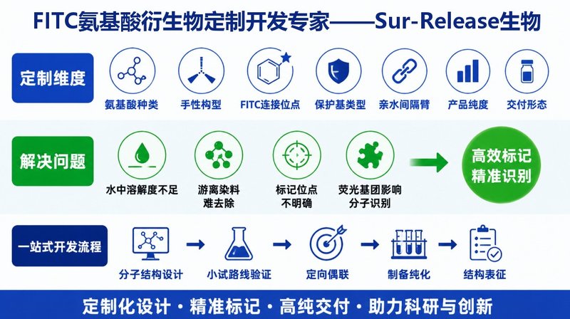 FITC标记氨基酸定制服务|位点设计、荧光标记与纯化表征