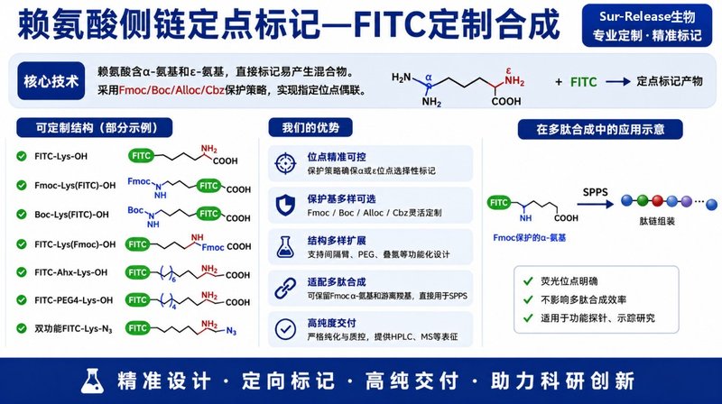 FITC标记氨基酸定制服务|位点设计、荧光标记与纯化表征