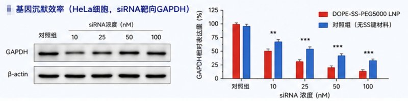 微环境响应磷脂偶联物定制｜支持pH/ROS/GSH等多重响应设计