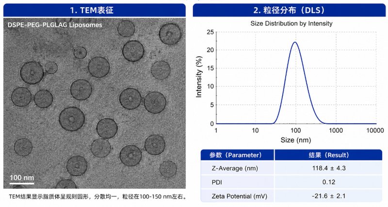 微环境响应磷脂偶联物定制｜支持pH/ROS/GSH等多重响应设计