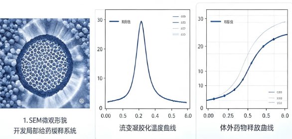 功能化PEG-PLGA嵌段共聚物定制｜助力靶向递送与智能控释体系开发