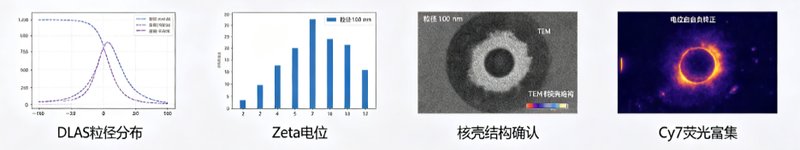 Cy7/NIR近红外荧光磷脂偶联技术开发与定制合成