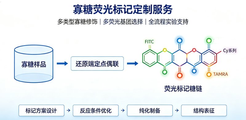 基于还原端反应的寡糖荧光探针定制开发