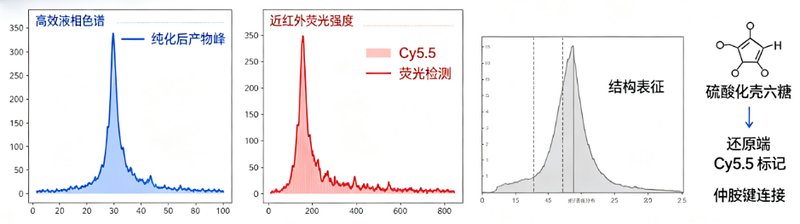 基于还原端反应的寡糖荧光探针定制开发
