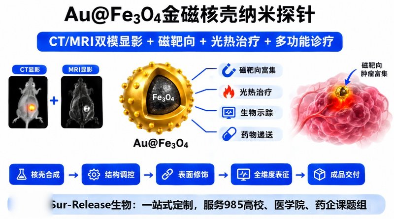 Au@Fe₃O₄金磁核壳纳米探针定制|CT/MRI双模态成像平台开发
