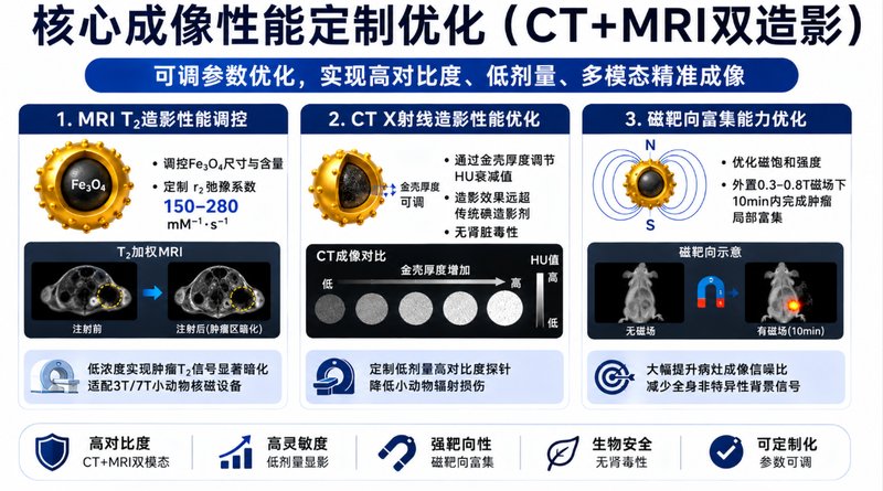 Au@Fe₃O₄金磁核壳纳米探针定制|CT/MRI双模态成像平台开发