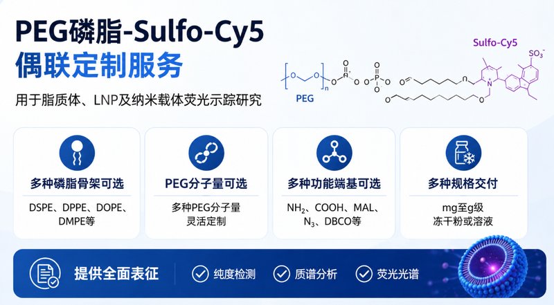 Sulfo-Cy5功能化PEG磷脂定制|荧光脂质材料开发
