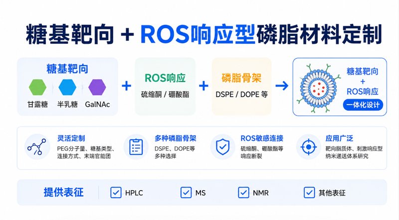 糖基靶向ROS响应型磷脂材料定制：甘露糖、半乳糖与GalNAc功能化