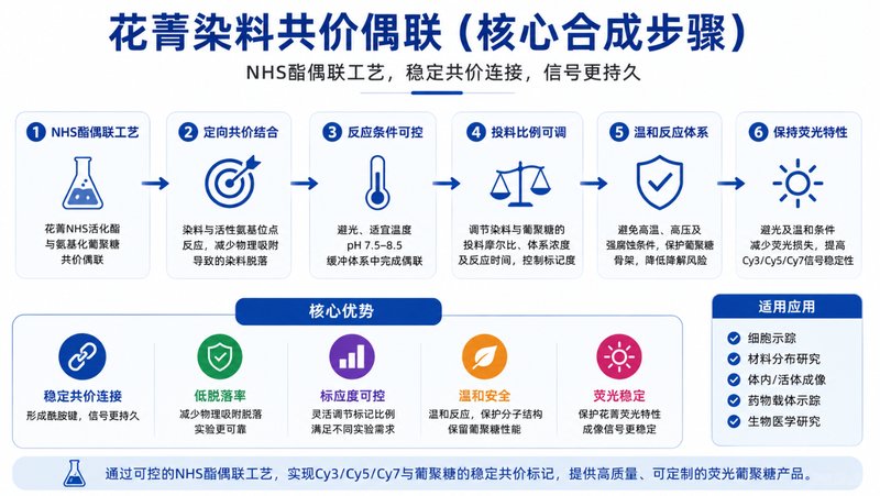 Cy3/Cy5/Cy7荧光葡聚糖定制合成