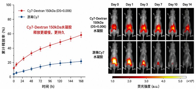 Cy3/Cy5/Cy7荧光葡聚糖定制合成