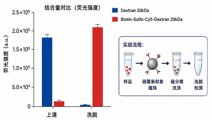 Cy3/Cy5/Cy7荧光葡聚糖定制合成