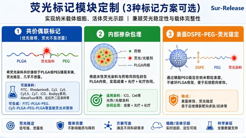 温敏响应PLGA药物递送荧光材料定制|Sur-Release生物技术服务