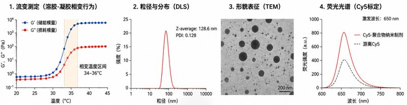 温敏响应PLGA药物递送荧光材料定制|Sur-Release生物技术服务