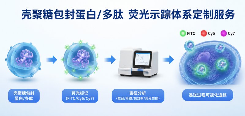 壳聚糖(Chitosan, CS)纳米载体包封蛋白/多肽药物荧光示踪定制