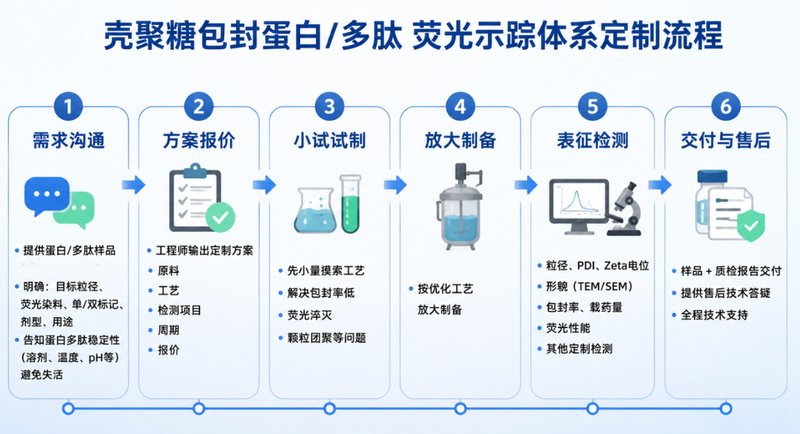 壳聚糖(Chitosan, CS)纳米载体包封蛋白/多肽药物荧光示踪定制