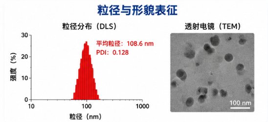 壳聚糖(Chitosan, CS)纳米载体包封蛋白/多肽药物荧光示踪定制