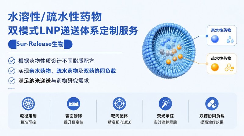 LNP脂质纳米颗粒双药共载体系定制:兼容水溶性与脂溶性药物