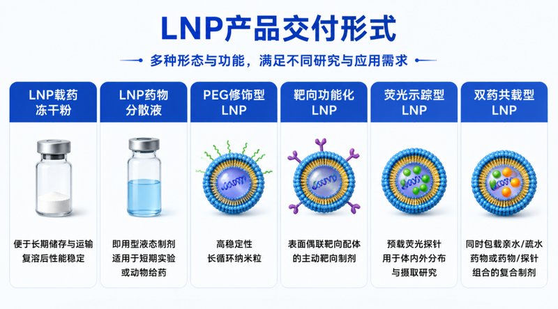 LNP脂质纳米颗粒双药共载体系定制:兼容水溶性与脂溶性药物