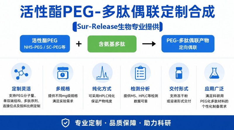 活性酯PEG-多肽偶联与功能化修饰定制丨Sur-Release生物技术服务