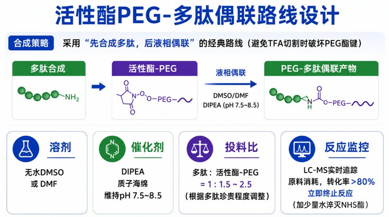 活性酯PEG-多肽偶联与功能化修饰定制丨Sur-Release生物技术服务