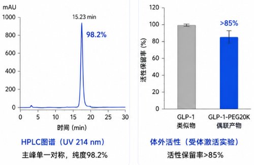 活性酯PEG-多肽偶联与功能化修饰定制丨Sur-Release生物技术服务
