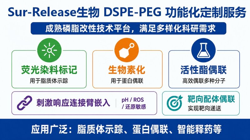 DSPE-PEG末端功能化定制|荧光/生物素/NHS活性酯